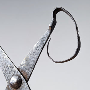 Sculptural Scissors