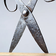 Load image into Gallery viewer, Sculptural Scissors
