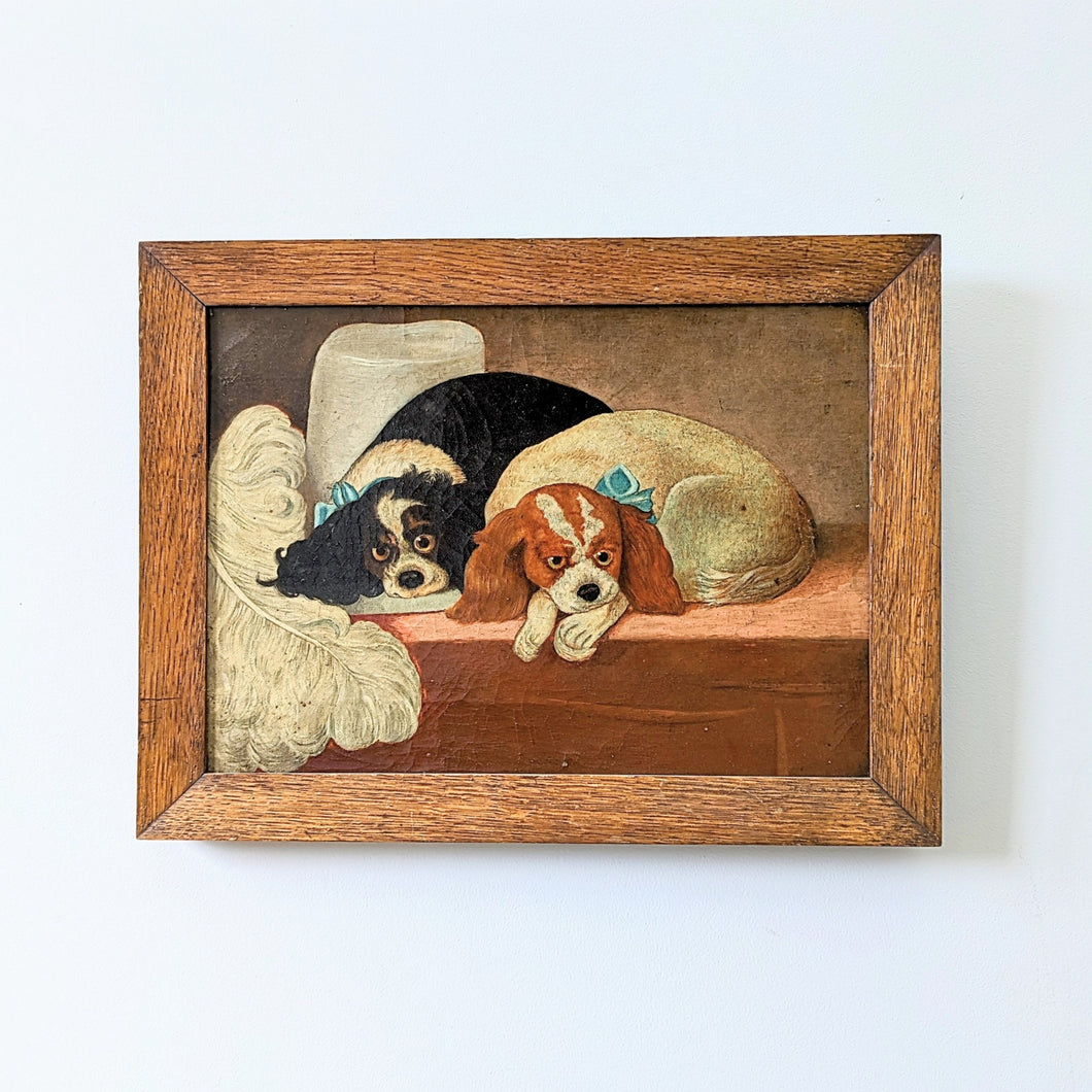 Cavalier King Charles Spaniels