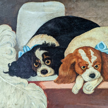 Load image into Gallery viewer, Cavalier King Charles Spaniels
